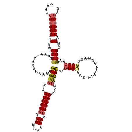 secondary structure