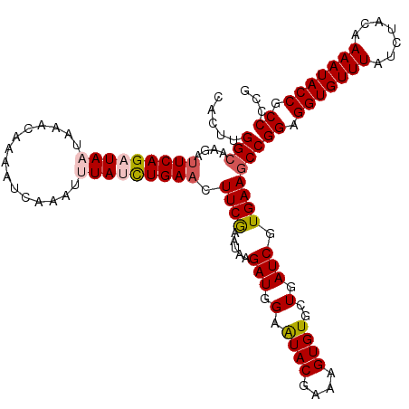 secondary structure