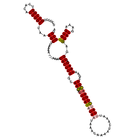 secondary structure