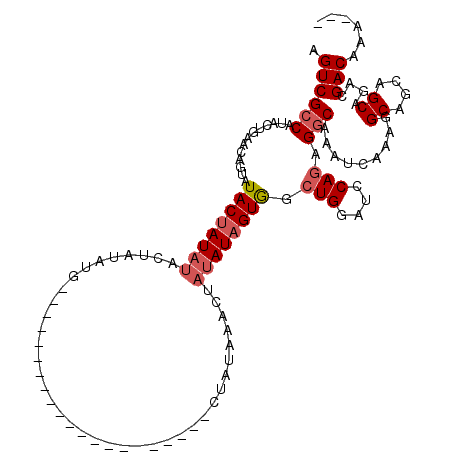 secondary structure