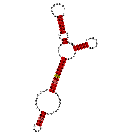 secondary structure