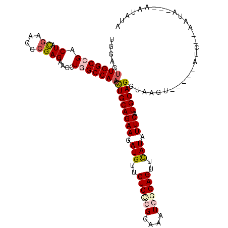 secondary structure
