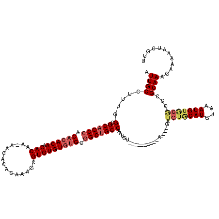 secondary structure