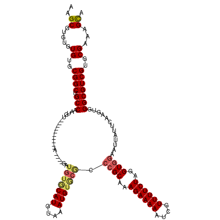 secondary structure