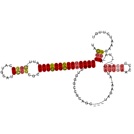 secondary structure