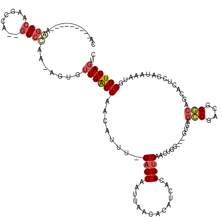secondary structure