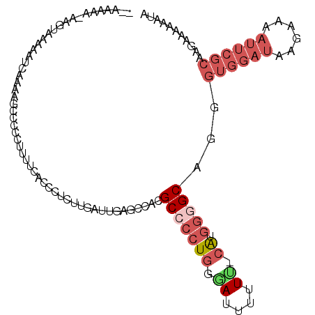 secondary structure