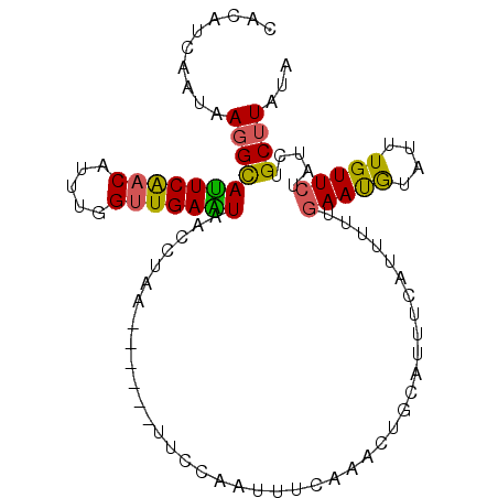 secondary structure