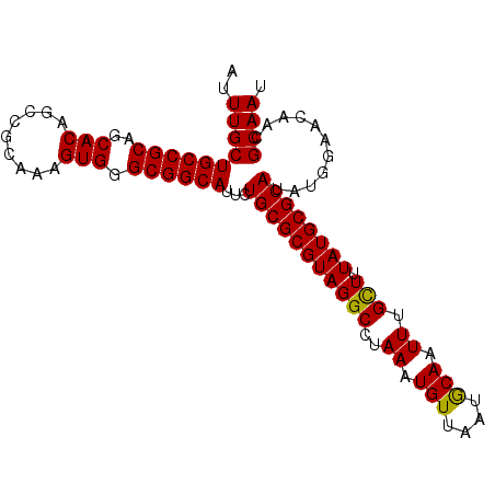 secondary structure
