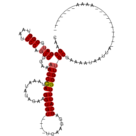 secondary structure
