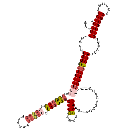secondary structure