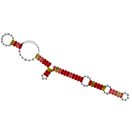 secondary structure