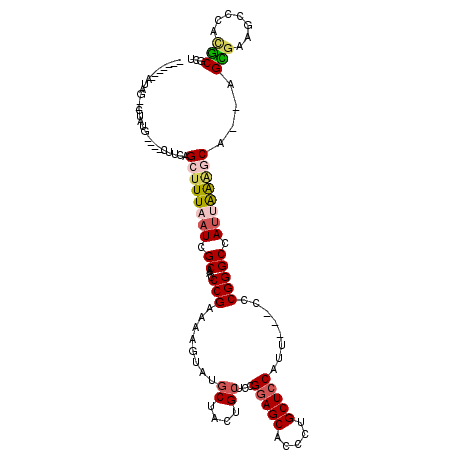 secondary structure