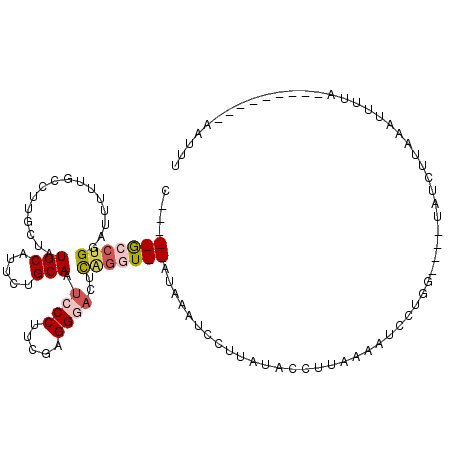 secondary structure
