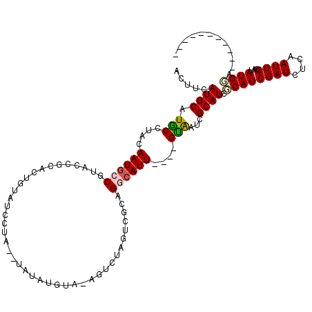 secondary structure