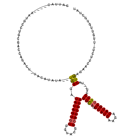 secondary structure