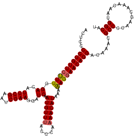 secondary structure