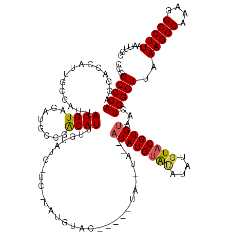 secondary structure