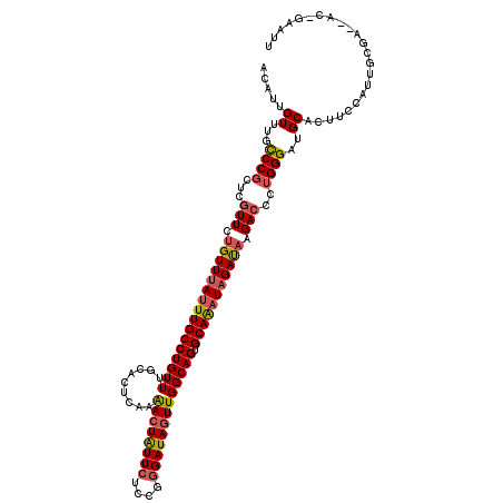 secondary structure
