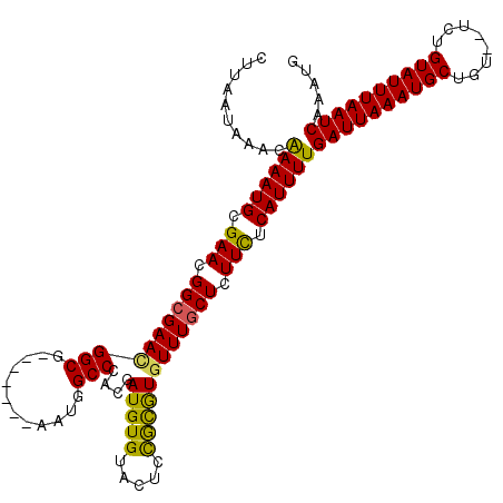 secondary structure