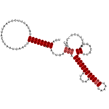 secondary structure