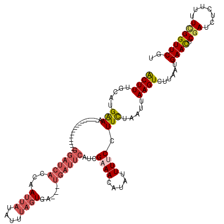 secondary structure