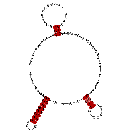 secondary structure