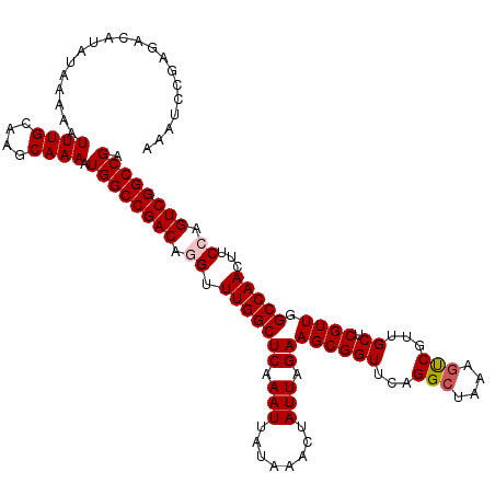 secondary structure