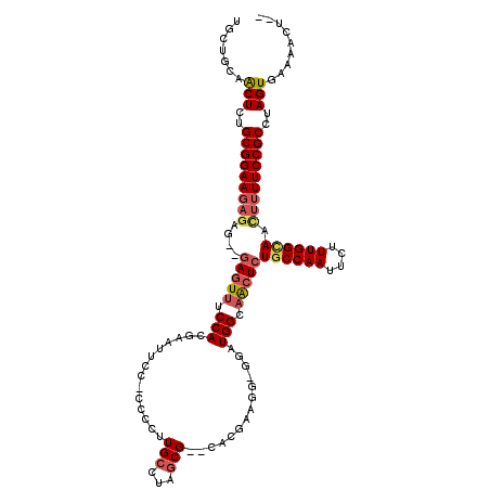 secondary structure