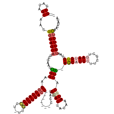 secondary structure