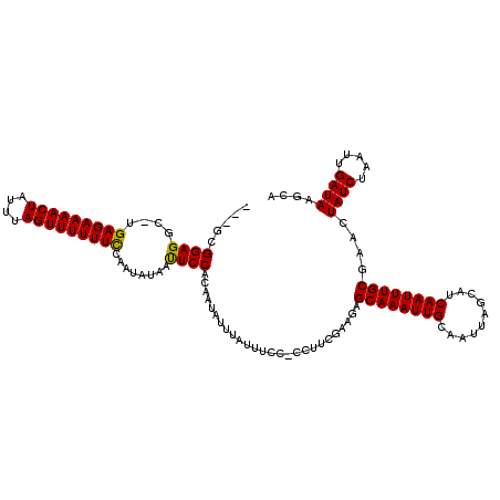 secondary structure