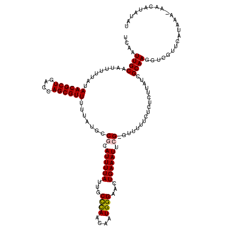 secondary structure