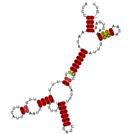 secondary structure