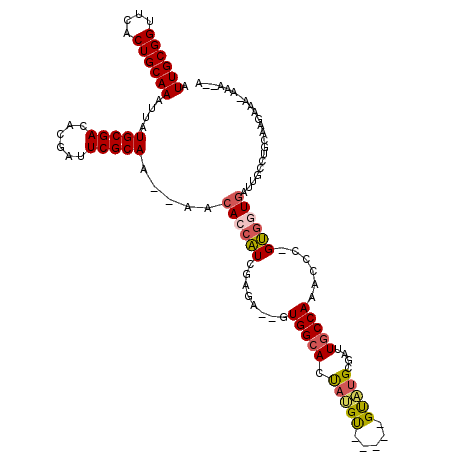 secondary structure