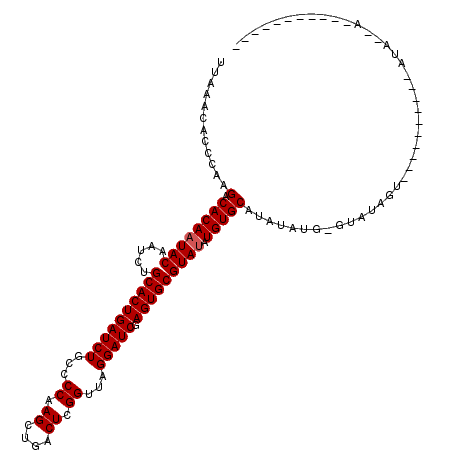 secondary structure