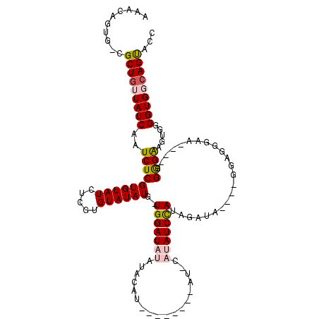 secondary structure