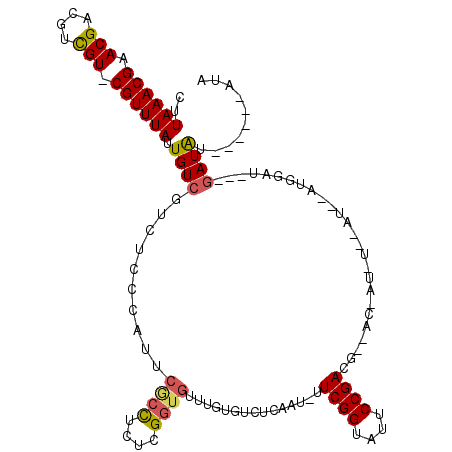 secondary structure