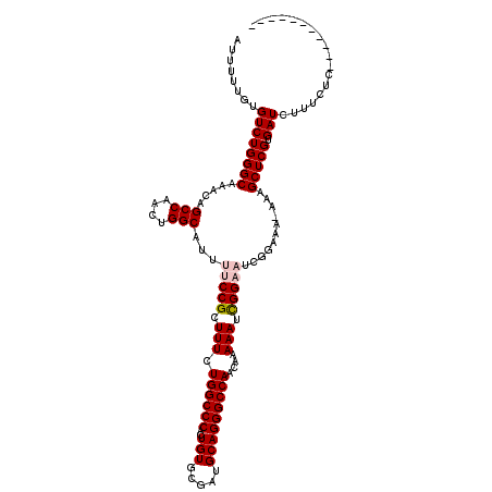 secondary structure