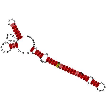 secondary structure