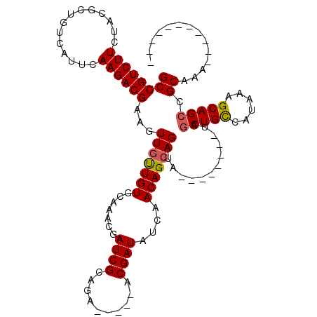 secondary structure