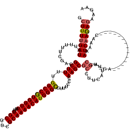secondary structure