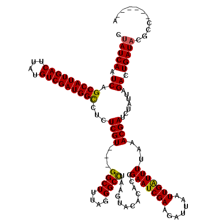 secondary structure