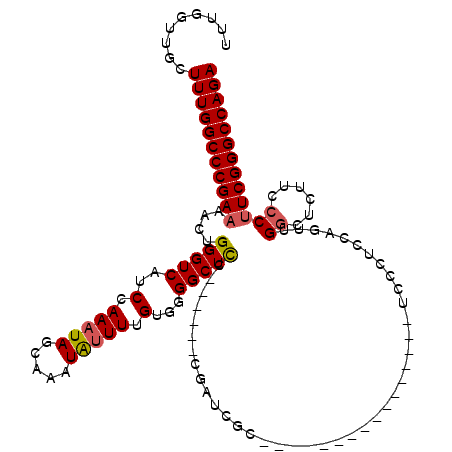 secondary structure