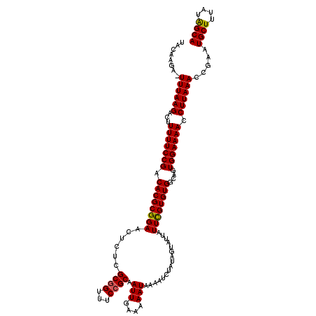 secondary structure