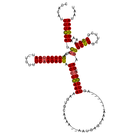 secondary structure