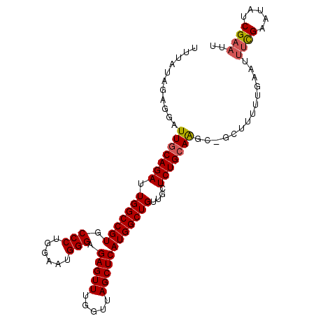 secondary structure