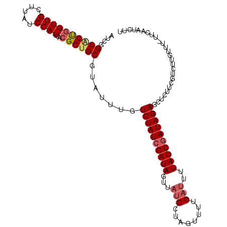 secondary structure
