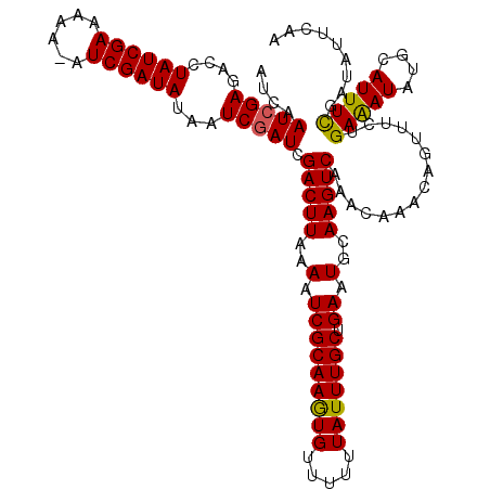 secondary structure