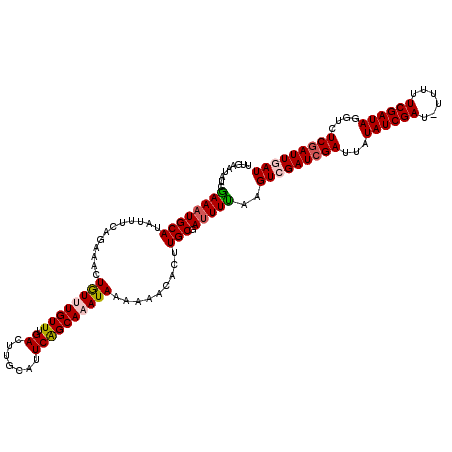 secondary structure