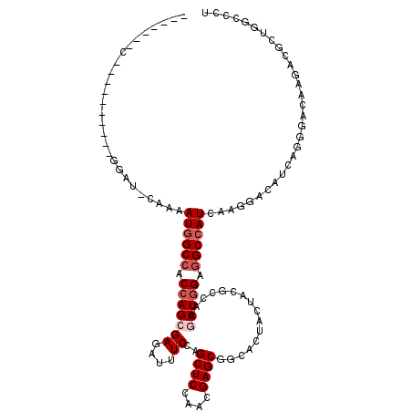 secondary structure